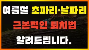 Read more about the article 여름에 꼭 나타나는 초파리 없애는 법, 퇴치법, 하수구 악취 없애는 법 2가지 총정리(초파리, 날파리, 바퀴벌레 없애는 법, 과탄산소다 사용 팁)