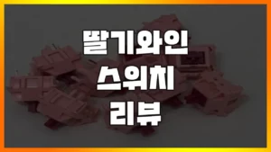 Read more about the article [딸기와인 스위치] 비선로우의 자매, 쫄깃함의 황제 딸기와인 스위치 리뷰(남자친구 선물 추천)