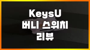 Read more about the article [KeysU 버니 리니어 스위치] 저압계의 No.1 버니 스위치 리뷰