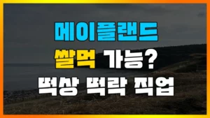 Read more about the article [메이플랜드] 메이플랜드 핵 사건 이후 쌀먹 가능할까? 메소 시세, 엘나스 업데이트 후 떡상 떡락 TOP 3 직업