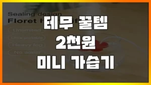 Read more about the article [테무 꿀템 추천] 물 위 둥둥 미니 가습기 단 돈 천원! 포그링 (한국에선 2만원)